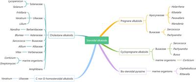 Potential of Steroidal Alkaloids in Cancer: Perspective Insight Into Structure–Activity Relationships